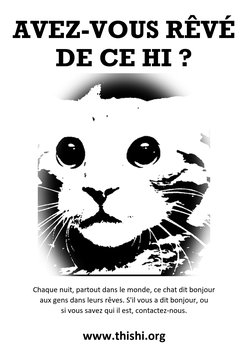 French flyer