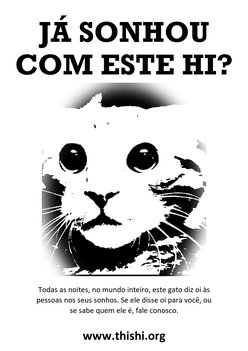 Portuguese flyer