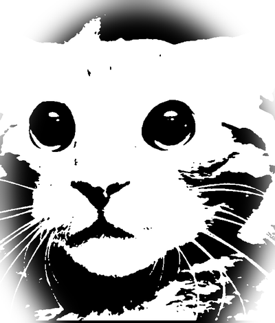Black and white sketch of the cat