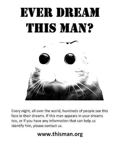 Poster of the cat